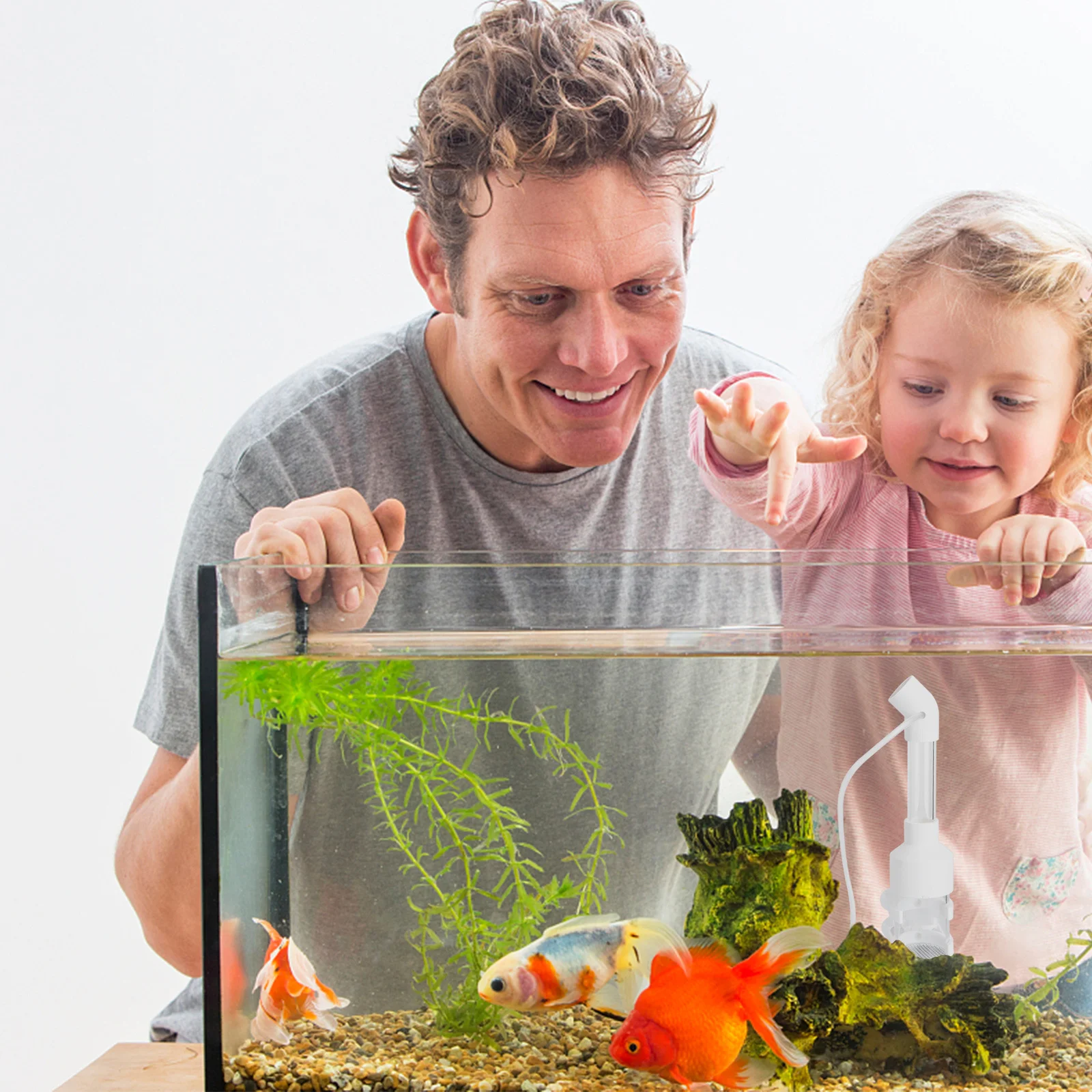 

2Pcs Fish Hatchery Incubator Aquarium Cichlids Egg Tumbler Fresh Water Circulation for Breeding Fish Incubator