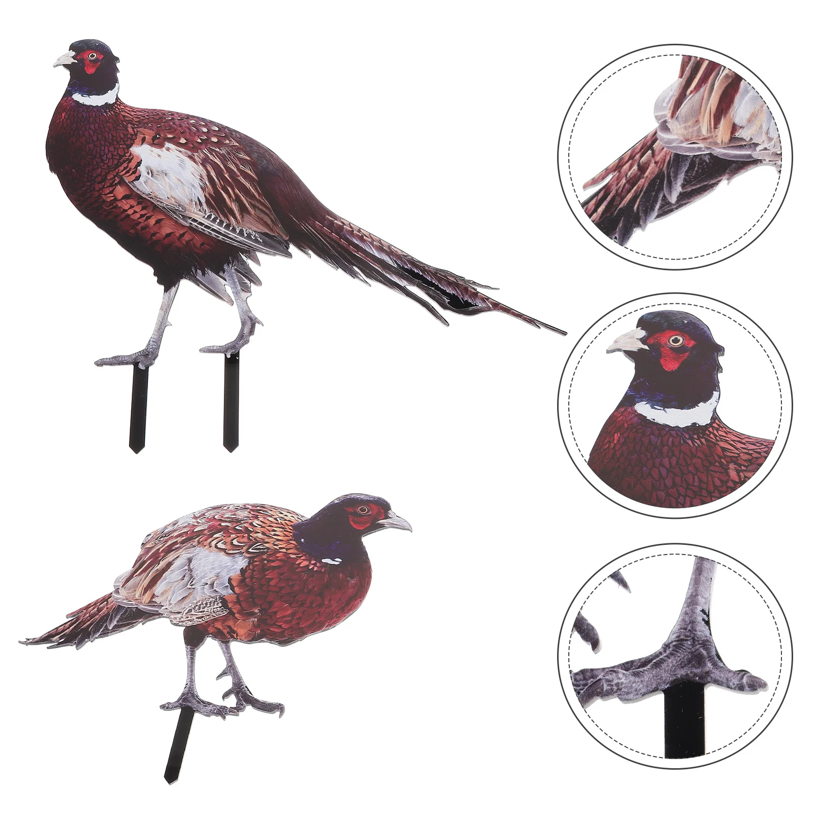 2 Pcs Pheasant Garden Decoration Insert Stakes Lawn Ornament Ground Plug Yards Acrylic