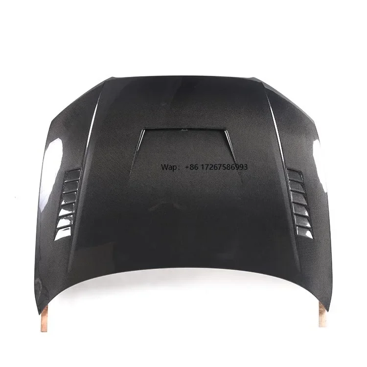 Real Carbon Fiber E…