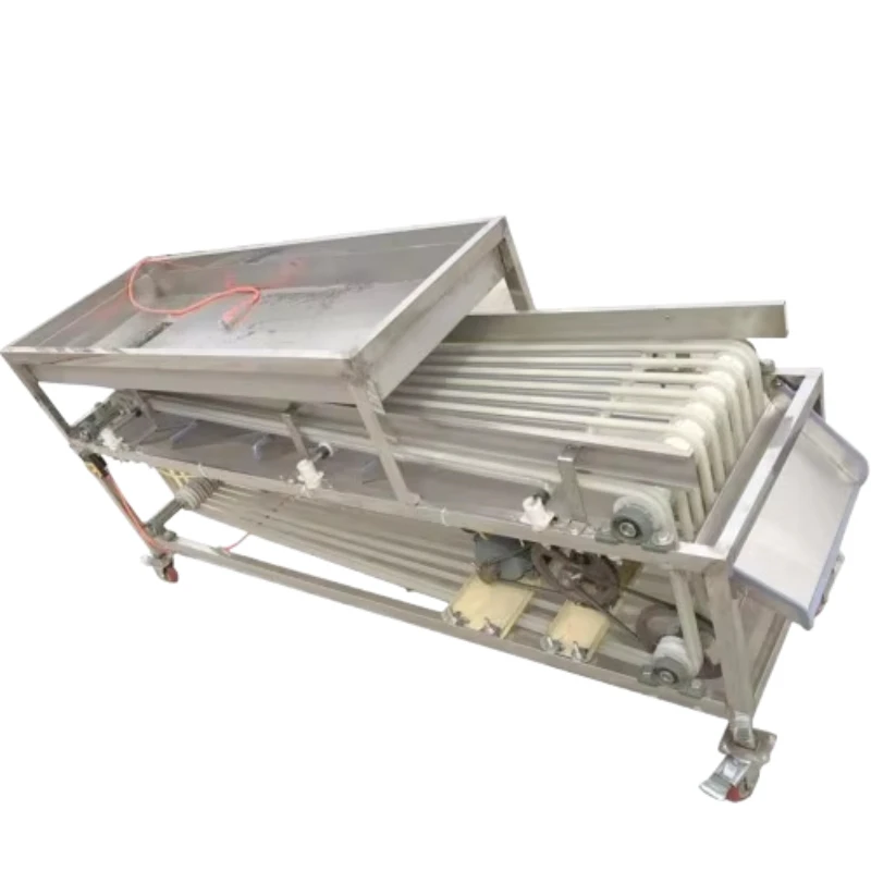 Customized Fully Automatic Roller Fruit Sorting Machine Sorting Machine for Fruit Fruit Sorting Machine