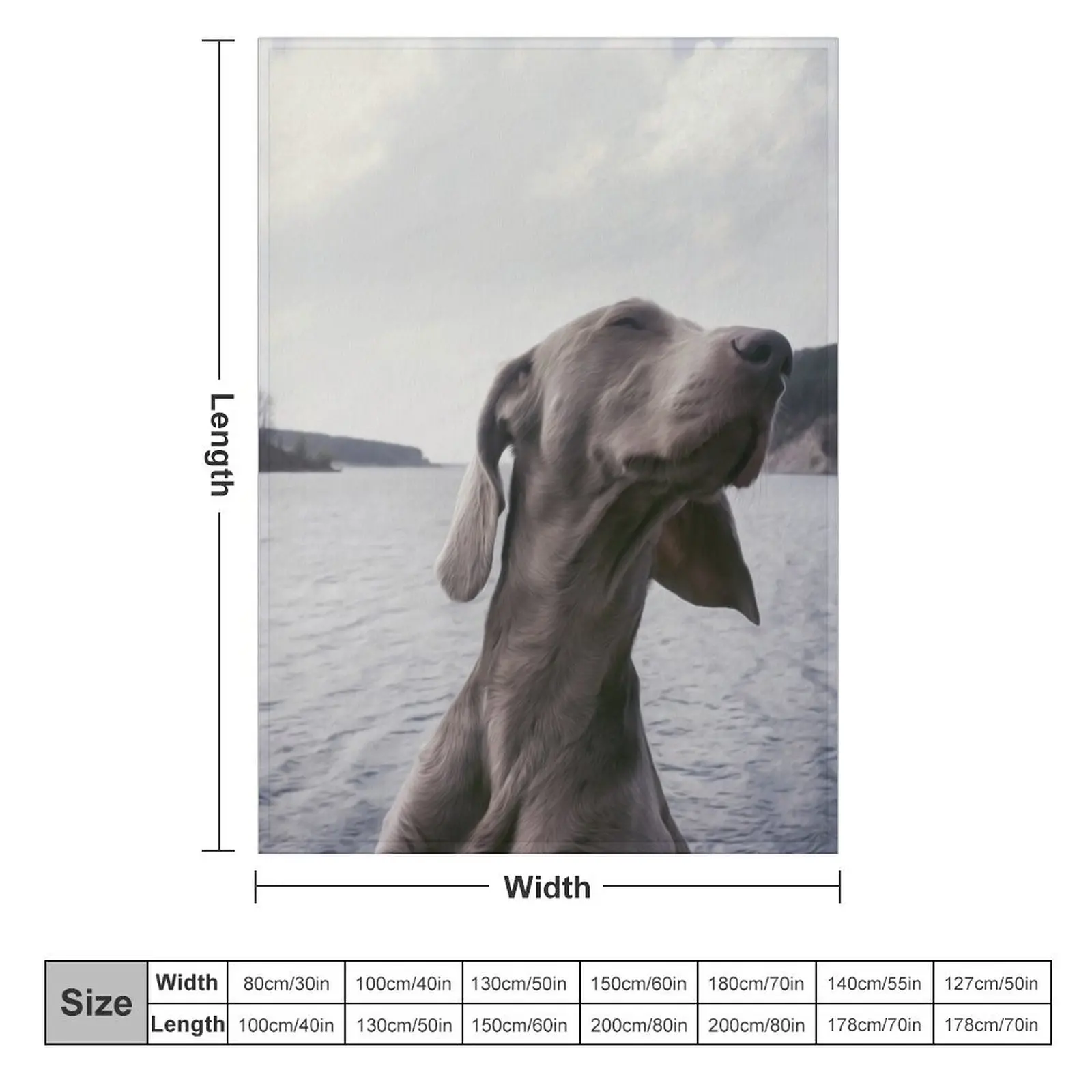 Weimaraner Breed Dog Animal Lake Water Throw Blanket Flannel Blankets For Baby Blankets