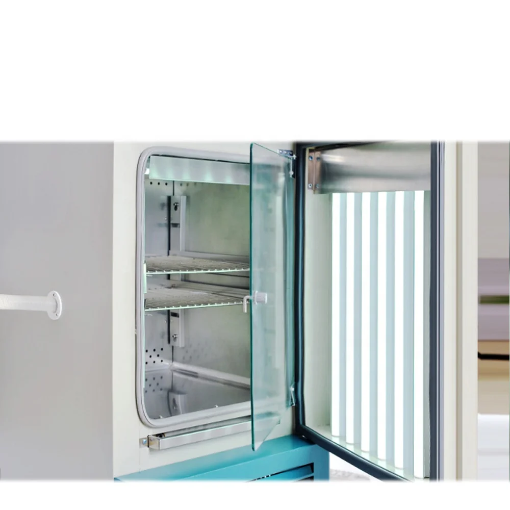 

250L Light Incubator Constant-Temperature Wholesale Lab Equipment for Scientific Research And Development