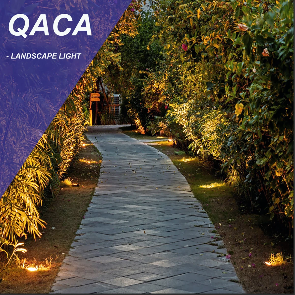 QACA LED Garden Light IP67 Waterproof Outdoor Landscape Lighting, Christmas LED Luxurious Driveway/Wall Wash Light AC/DC12V 5W