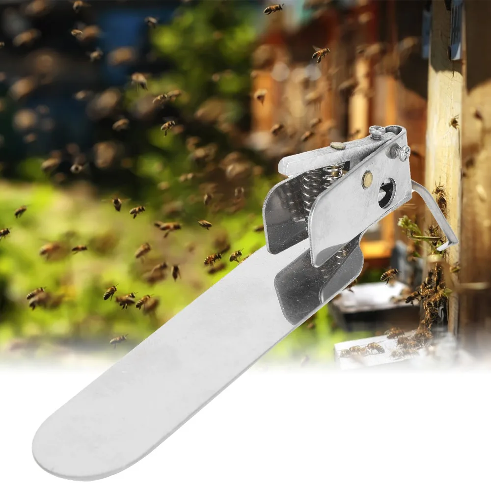 Stainless Steel Beekeeping Grafting Tool Single End Design Flat Tongue Larva Transfer Tool Includes Screwdriver