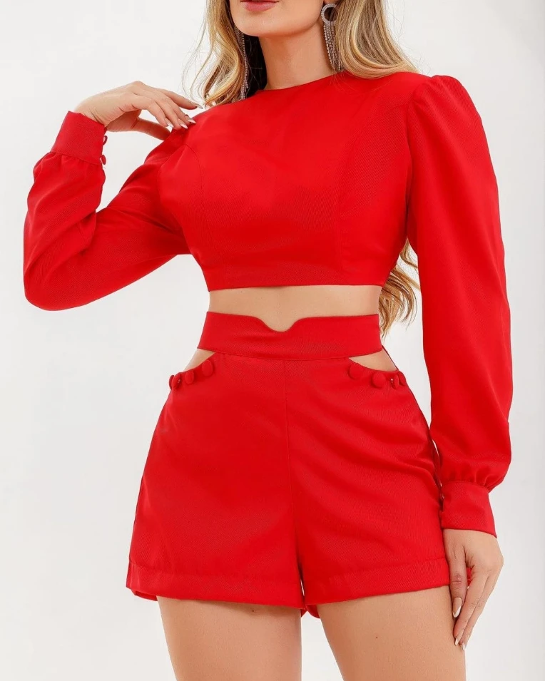 

Women's Two Piece Set Solid Color Puff Long Sleeved Blouse Top and Button Hollow Out High Waisted Shorts Fashion Casual Set