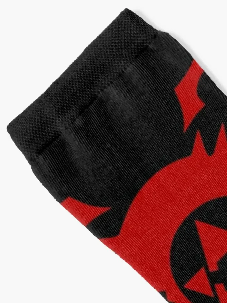 Fullmetal Alchemist- ouroboros homunculus symbol Socks Crossfit funny sock Lots Socks Women's Men's