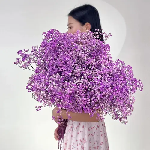 80g Mix Gypsophila Baby Breath Dried Flower Bouquet Boho Wedding Photo Prop Decoration Preserved Gypsophile Home Room Vase Decor - Image 16