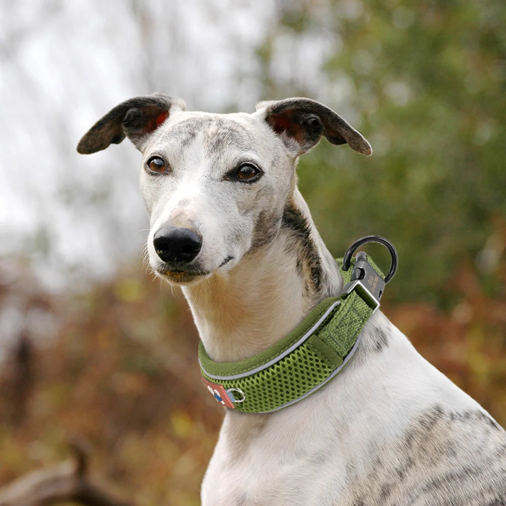 Personalisiertes Hundehalsband aus Mesh, atmungsaktiv, reflektierende Haustier-Halskette, langlebig, für kleine, mittelgroße und große Hunde, kostenlose Gravur – Detail 21
