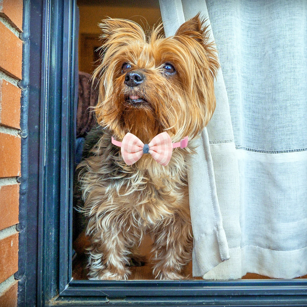 50/100pcs přehoz pes příslušenství nastavitelný límec kocour pes bowties malý střední pes luk kravaty s mřížka mazlíčky grooming luky mašle