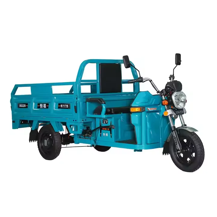Outstanding Quality Electric Motorcycle 3 Wheel Electric Tricycle Bike For Adults