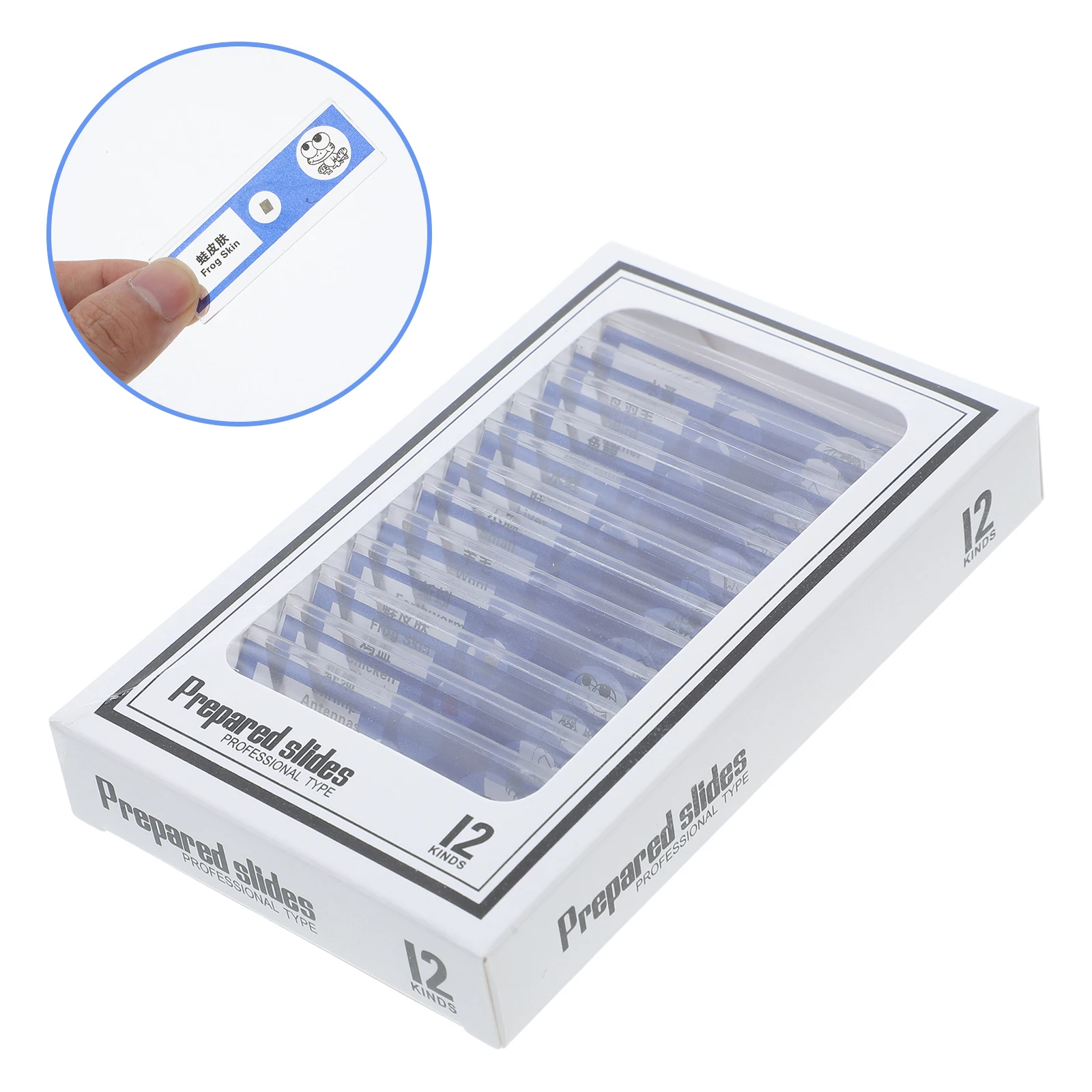 

12pcs Prepared Microscope Slides Biology Animal Plant Cells Specimen Sample For Adults Lab Teaching Supplies Education