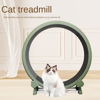 ABS High-end Cat Toy Treadmill, Fashionable and Avant-garde 0 Formaldehyde Cat Fitness Silent Pet Roller Cat Climbing Frame