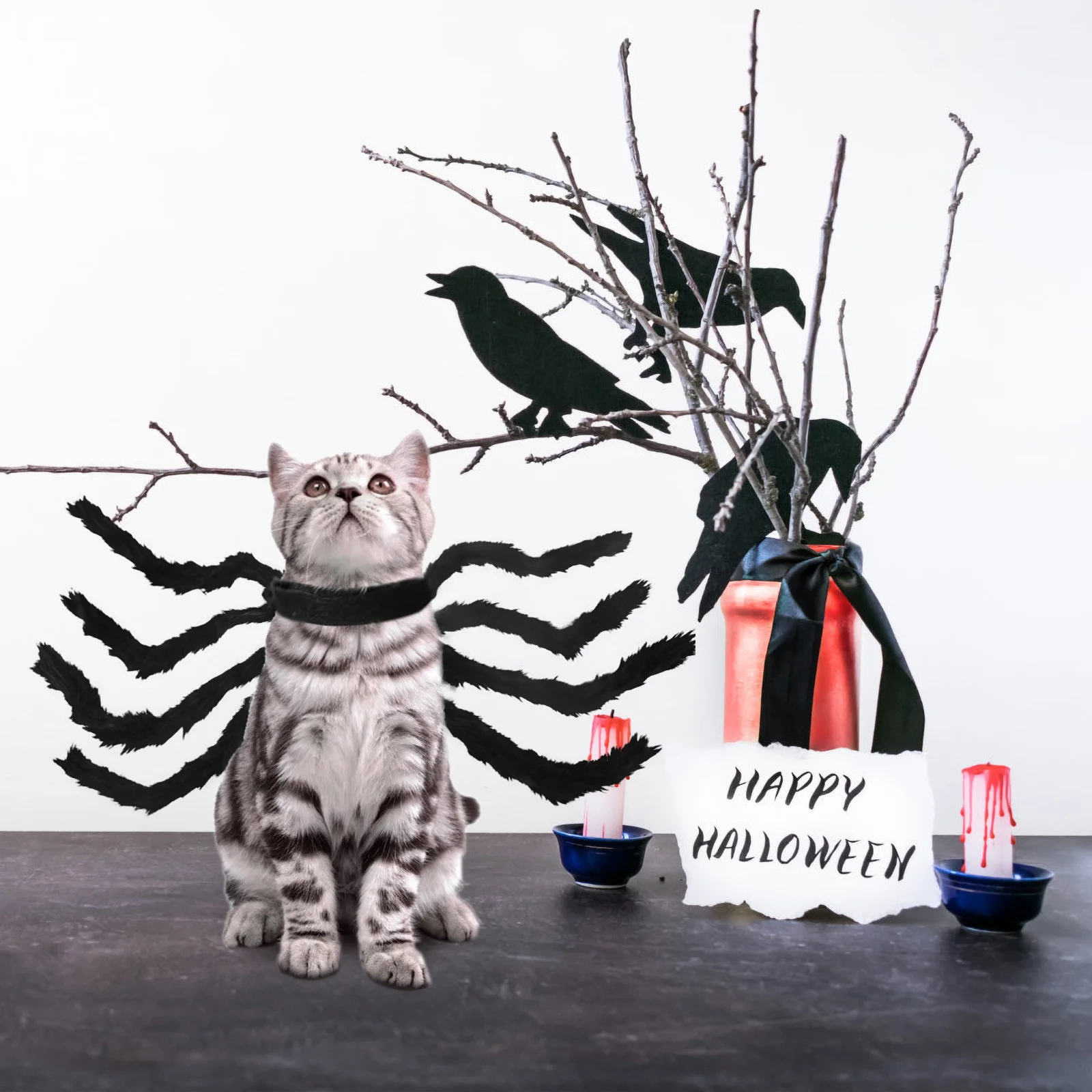 

Halloween Pet Costume Spider Outfit for Small Pets Cats Dogs Funny Spider Halloween Party Pet Clothes Supplies