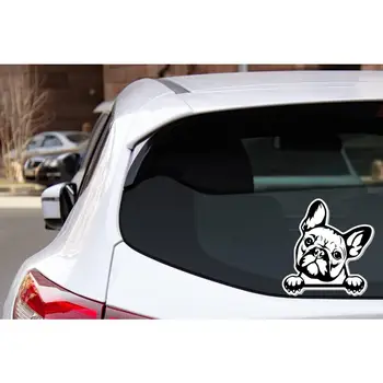 偷窺的法國鬥牛犬貼紙,帶爪子的偷窺鬥牛犬乙烯基貼紙,適用於汽車、車窗、水瓶、手機等,15厘米PVC材質,KK品牌,可作禮物。 8 最佳銷售 鬥牛犬貼紙 - №6