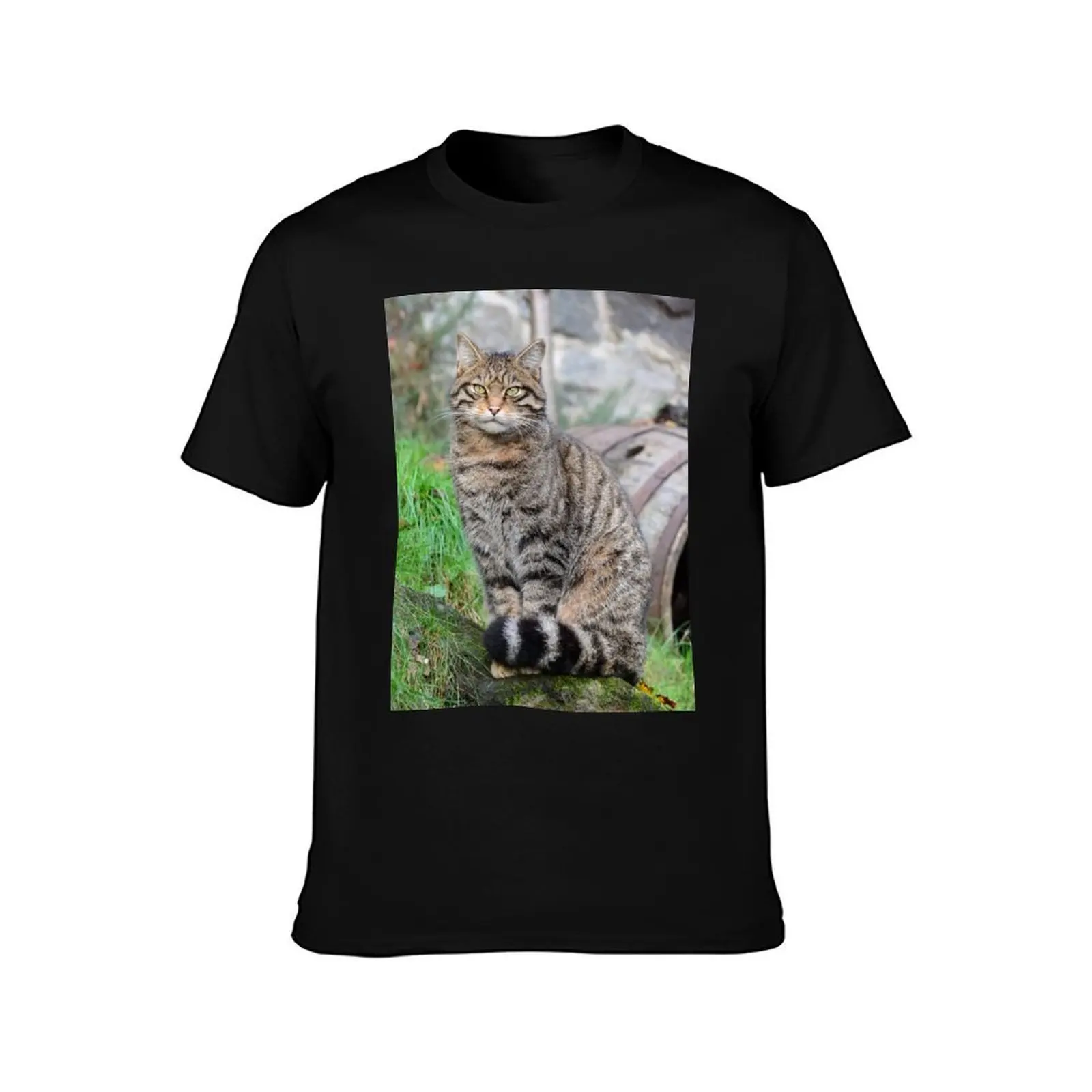 Stunning Highland Tiger (Scottish Wildcat) T-Shirt Plus Size Gym Sports T-Shirt
