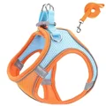 blue-orange