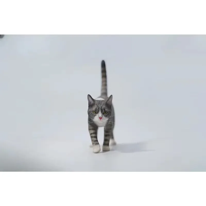 JXK 1/6 スケールシミュレーション樹脂 Felis Catus 動物モデルかわいい猫小さな小道具モデル 12 "アクションフィギュアディスプレイおもちゃ
