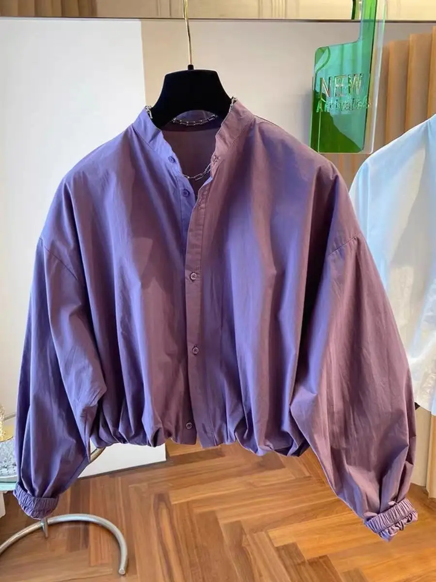 2024 new niche design high-end purple shirt women\'s early autumn loose casual long sleeved top  blouse women