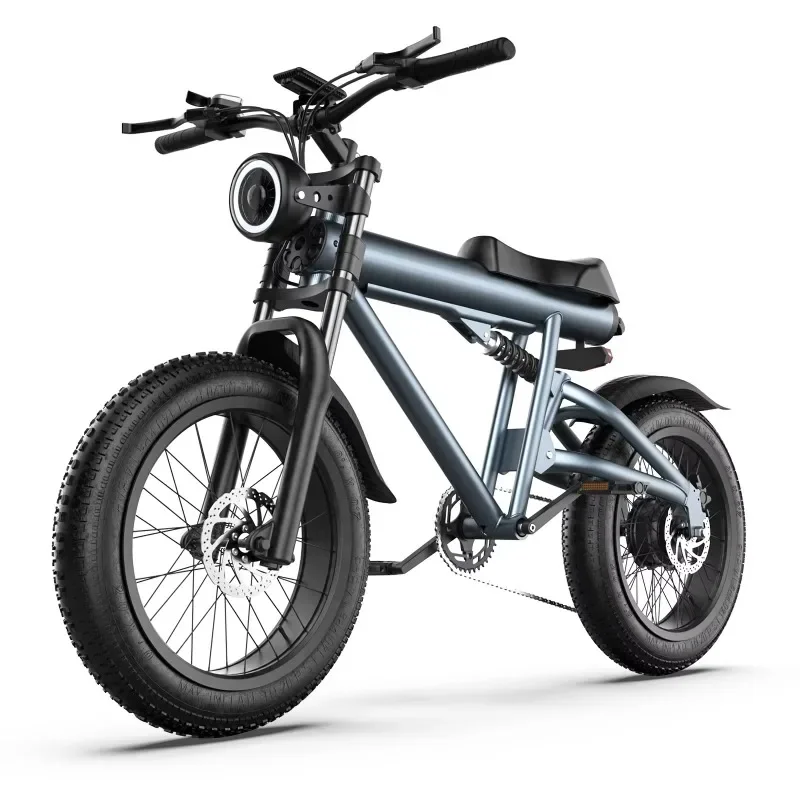 

Electric Bicycle Dirt Bikes 20 Inch Sport Mountain Fat Tire Ebike Electric City Bicycle