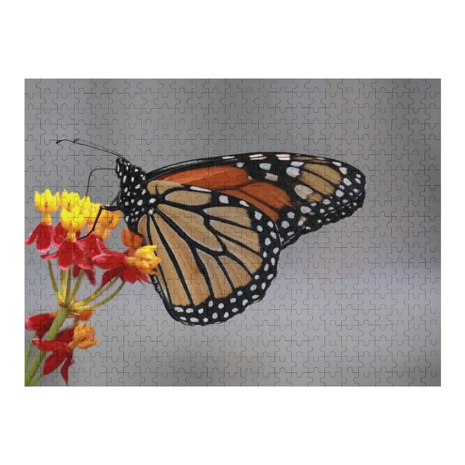 

Monarch on Milkweed Jigsaw Puzzle Personalized Gift Married Iq Wooden Compositions For Children Custom Child Gift Puzzle