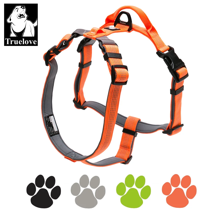 Truelove Pet Harness Adjustable No-Pull 3M Reflective Nylon with Collar Leash LED Light Neoprene Padded Hiking Running TLH6171