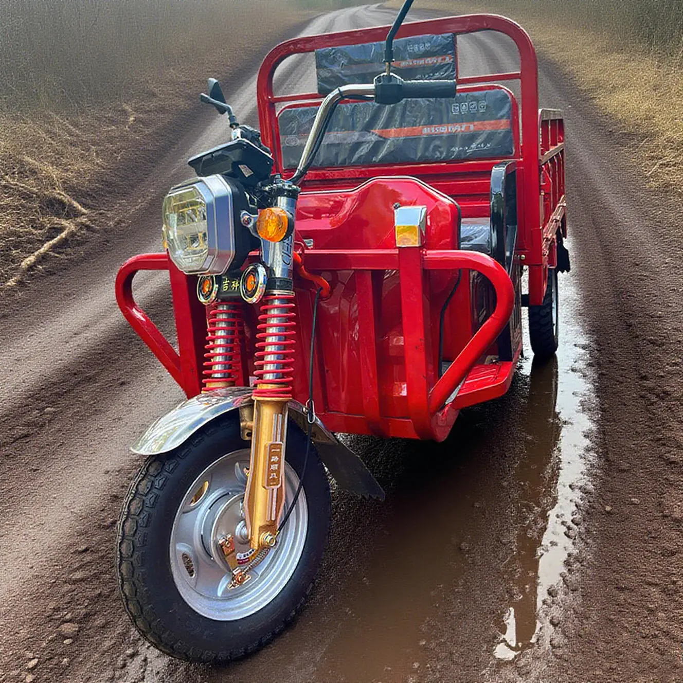 3 Wheel Motorcycle Electric Trike with Safety Side Bars Open Cargo Bed Utility Vehicle for Greenhouse Nursery Flower Pots