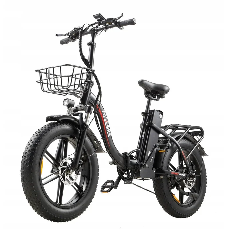 

Factory Hot Selling 20 Inch Fat Tire Ebike 750W Motor Big Battery Electric Cycle Electric Bicycle Full Suspension 48V Best Mount