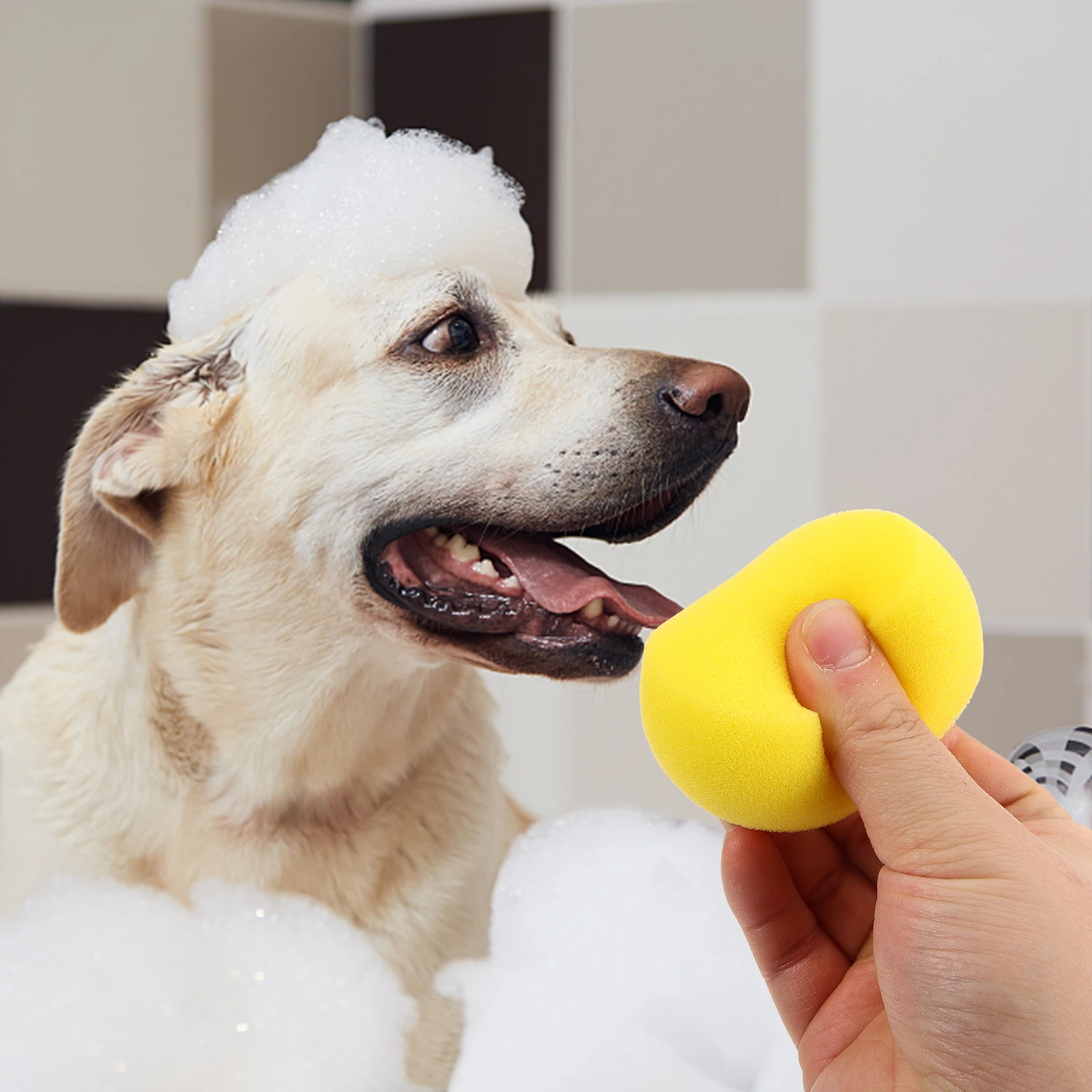 

Pet Bath Sponge 70MM Yellow Round Cleaning Tool for Small Dogs Cats Shower Scrubbing Reusable Portable Absorbent