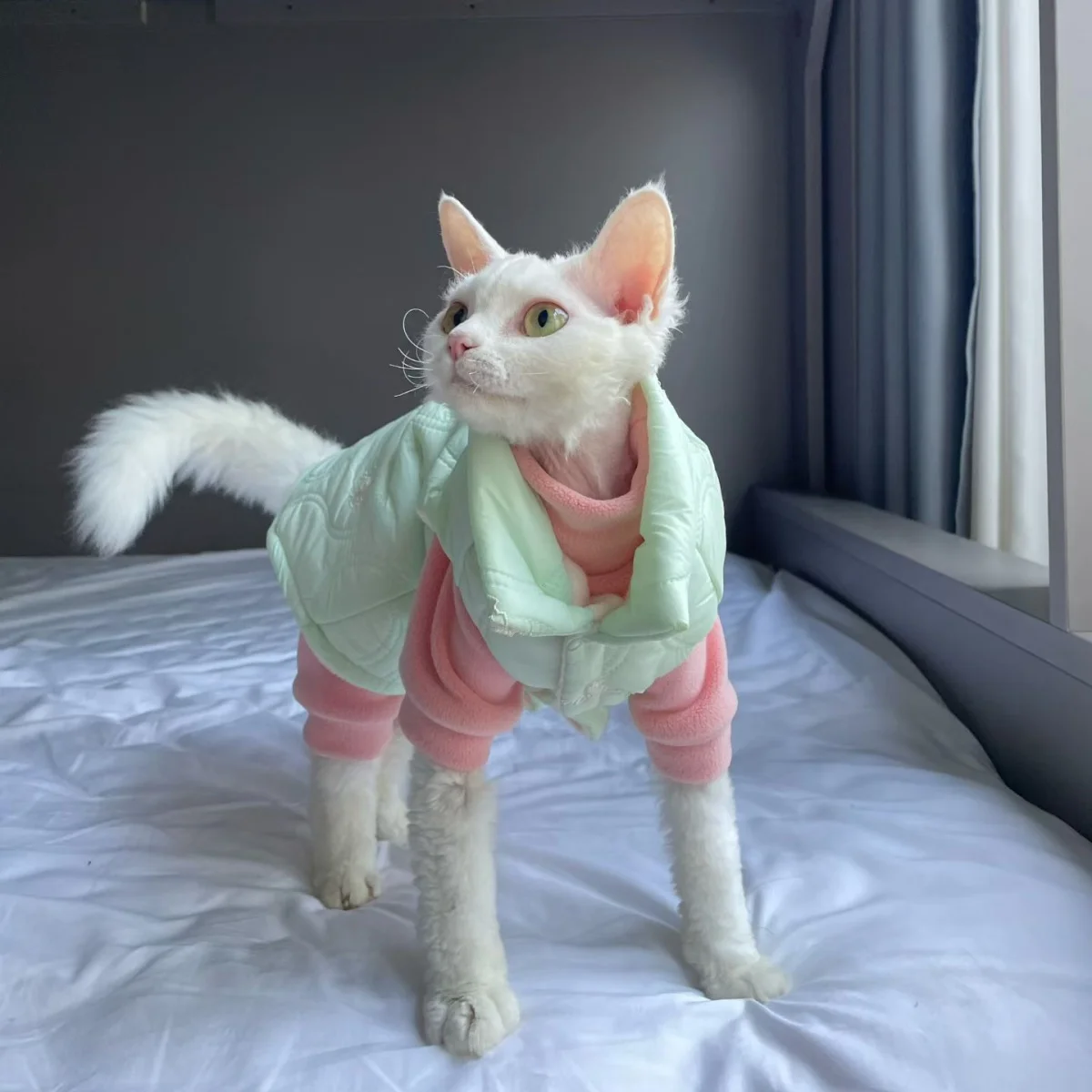 Winter Thick Fleece Windproof Jacket for Sphynx Cat Warm Cute Green High-Neck Button Coat for Kittens Loungewear For Devon Rex