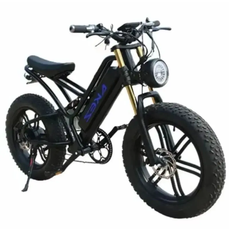 20-calowy elektryczny rower elektryczny 750W 48V Fat Tire E rowery elektryczne dla mężczyzn Retro E Bike Akez ze zdejmowaną baterią dla kobiet