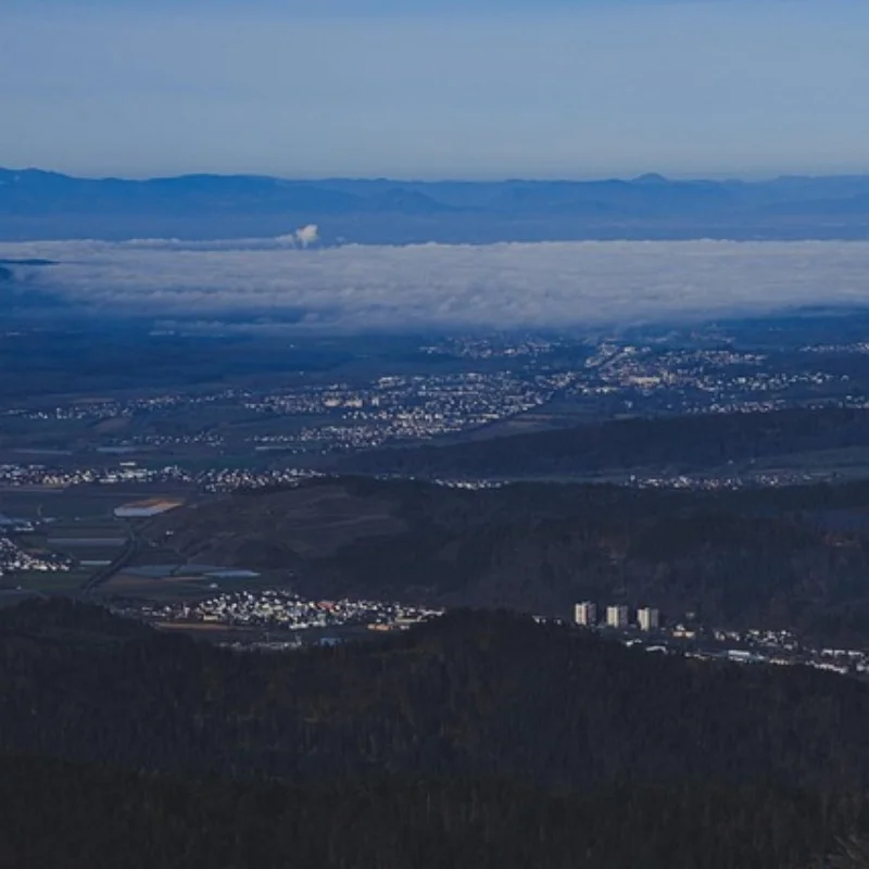 

Металлическая обновленная замена передней рулевой чашки, радиоуправляемые автомобильные детали, пригодные для UD 1/16 GR M16 с дистанционным управлением автомобиля