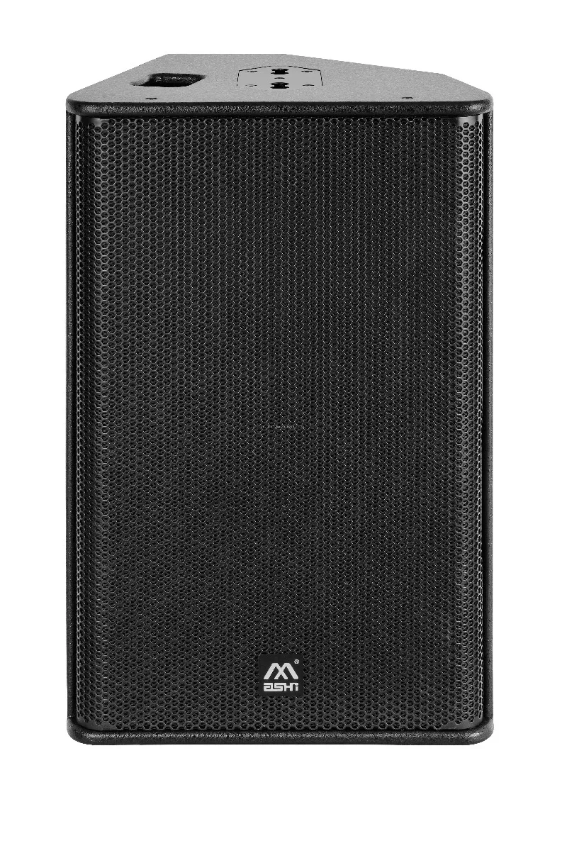 Mashi Hot Selling Factory Price PS12 Single 12 Inch Multi-function Speaker Monitor Speaker