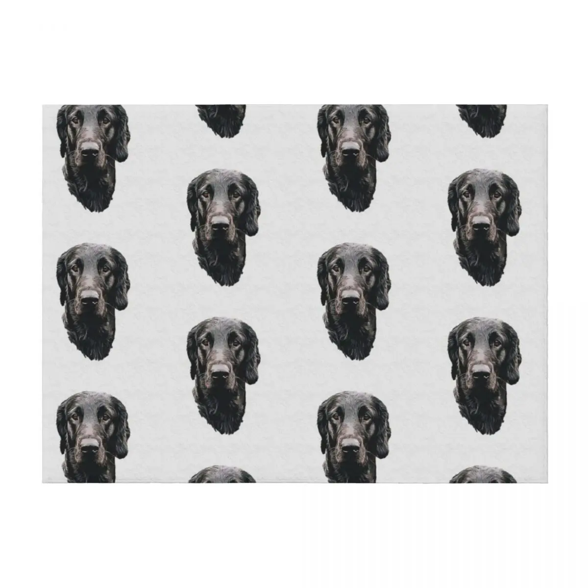 

Flat Coated Retriever - Stunning Dog! Throw Blanket Decorative Sofa Sofa cosplay anime Blankets For Baby Blankets