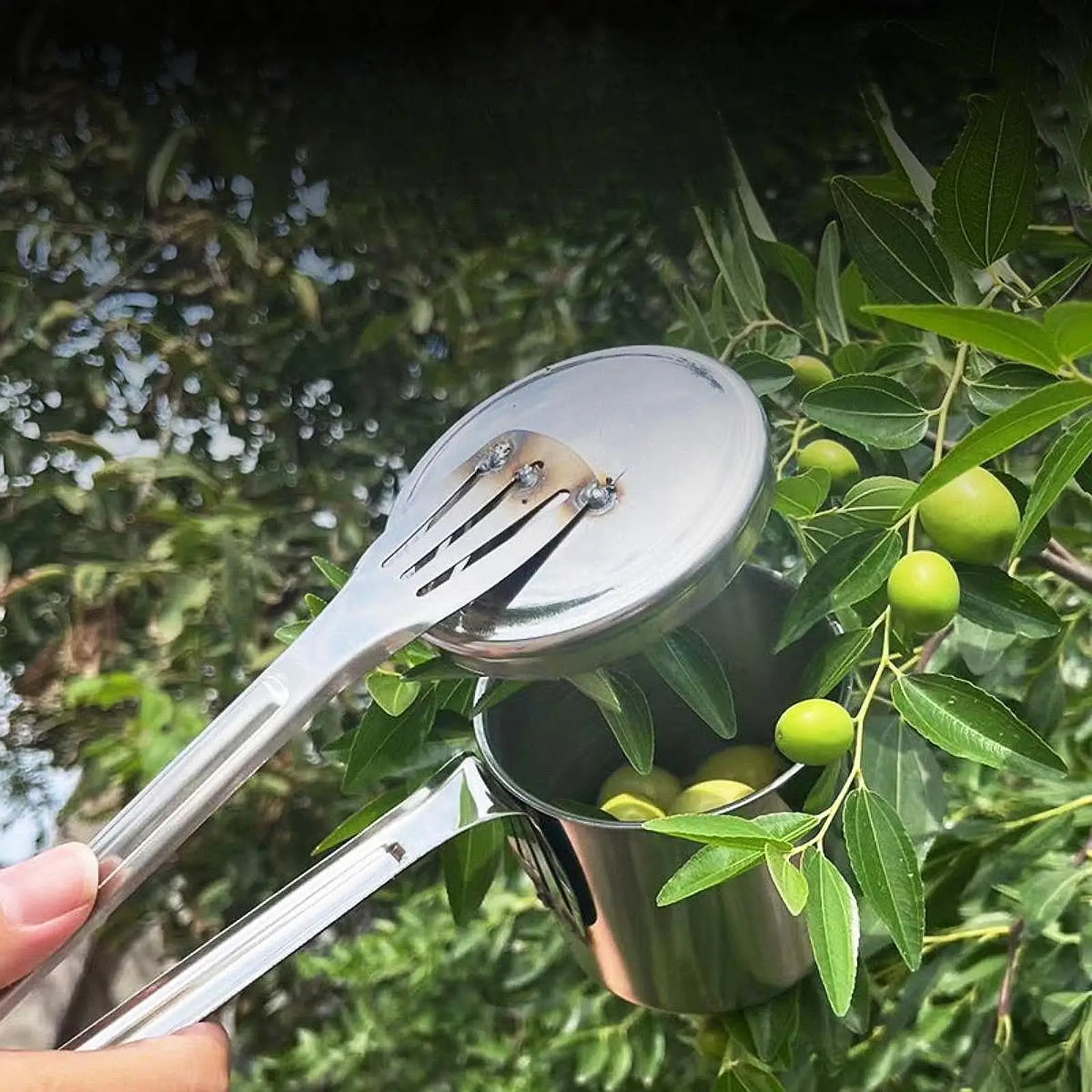 

Jujube Picker Portable Fruit Catcher Stainless Steel Hand Picker Multipurpose Fruit Picking Tool Agricultural Tool