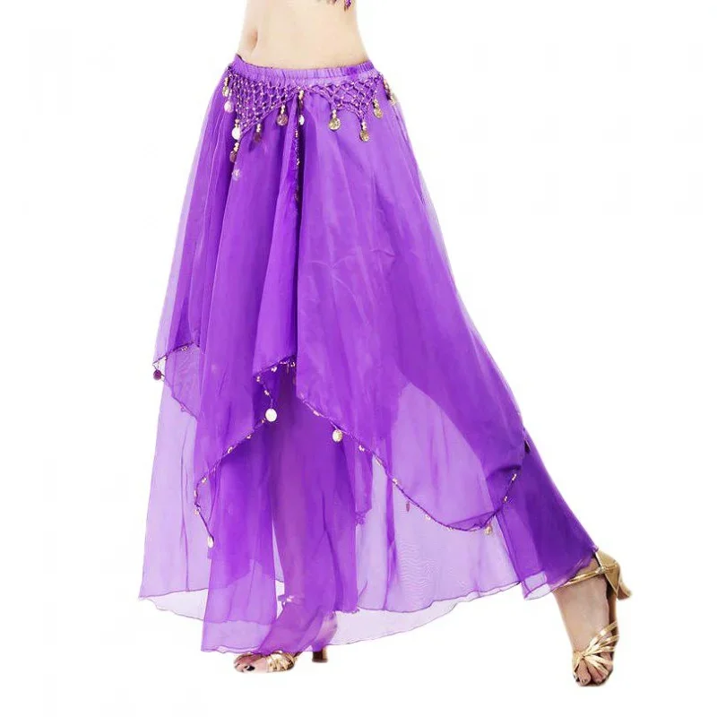 Women Belly Dance Long Skirt with Coins Chiffon Belly Dancer Costumes Layered Skirt Party Festival Costume