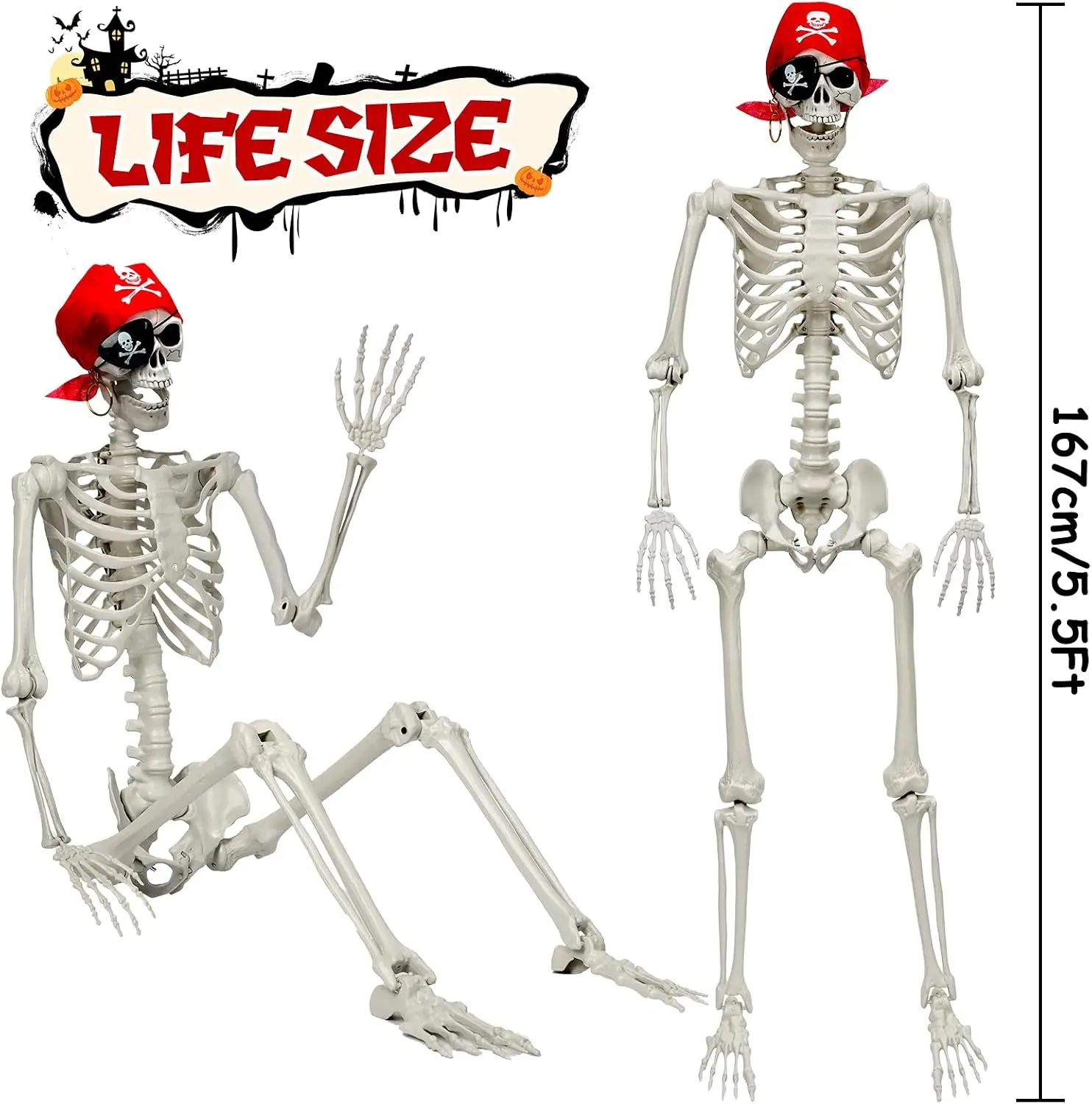 Halloween Decorations 55 Ft Posable Halloween Skeleton Full Body Life Size Skeleton Prop Movable Joints Halloween Outdoor Yard H