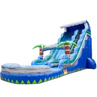 Popular Palm Tree Inflatable Water Slide for Kids Outdoor  Kids Water Slide with Pool Cheap on Sale