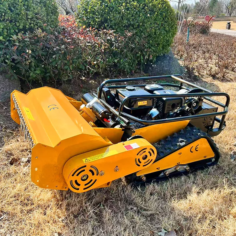 Customized lawn mower paired with customized remote control can now be delivered remotely.
