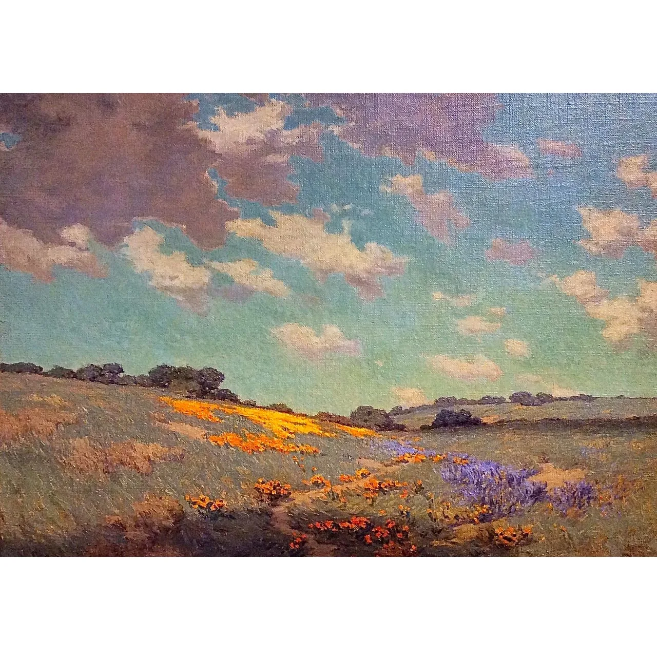 Patch of Poppies by Granville Redmond,Hand-painted landscape oil painting ,Modern decorative pictures,painting for living room