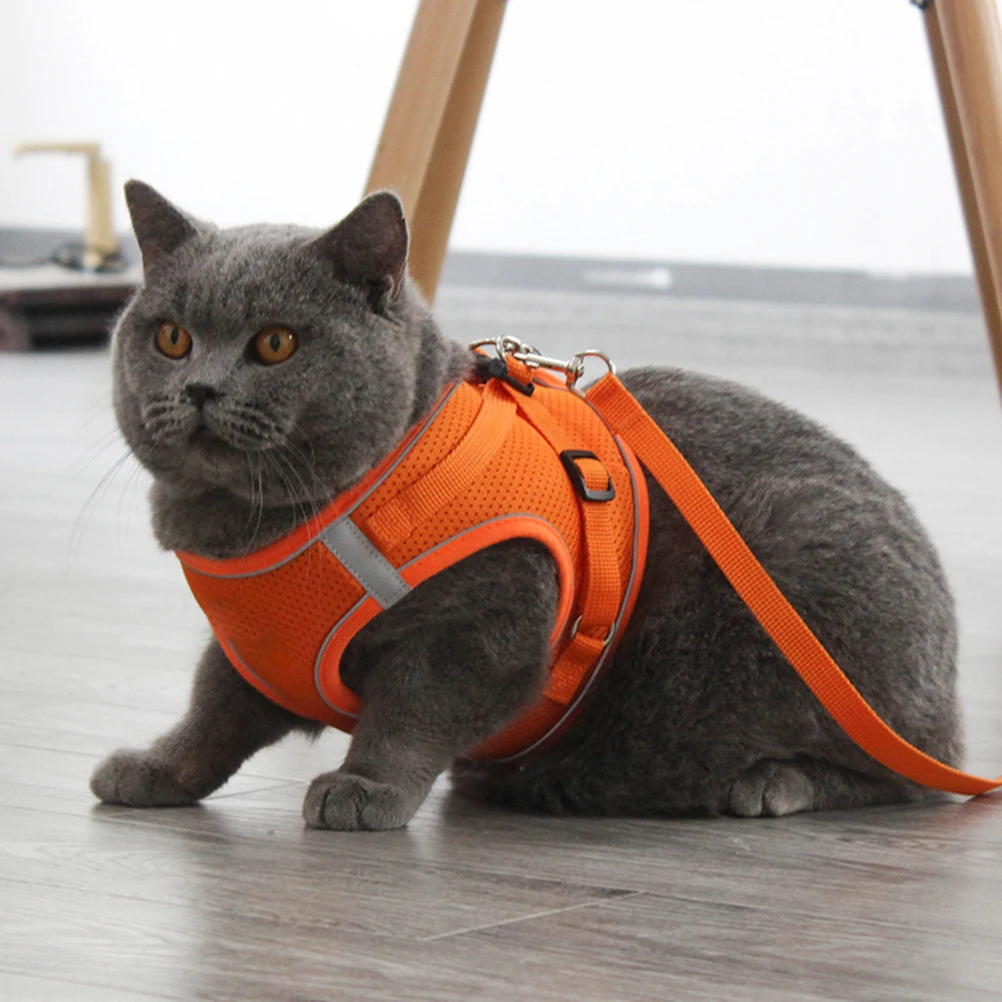 

Vest-style Dog Leash Pet Harness Training Chain Ring Small for Puppy Outdoor Dogs