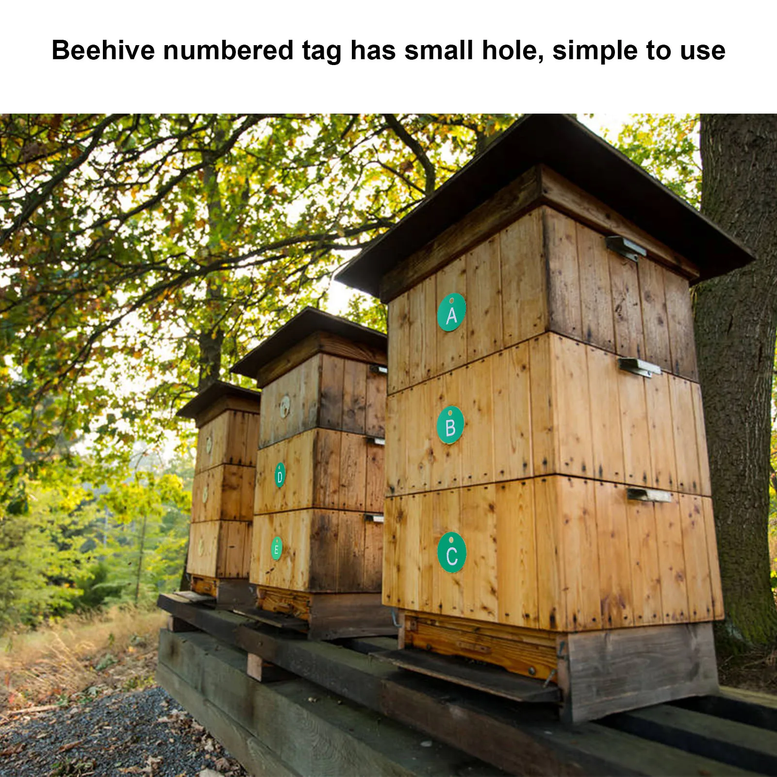 26PCS Beehive Numbered Tag Marker mit Loch Runde Beehive Label Beekeeping Zubehör für Garten