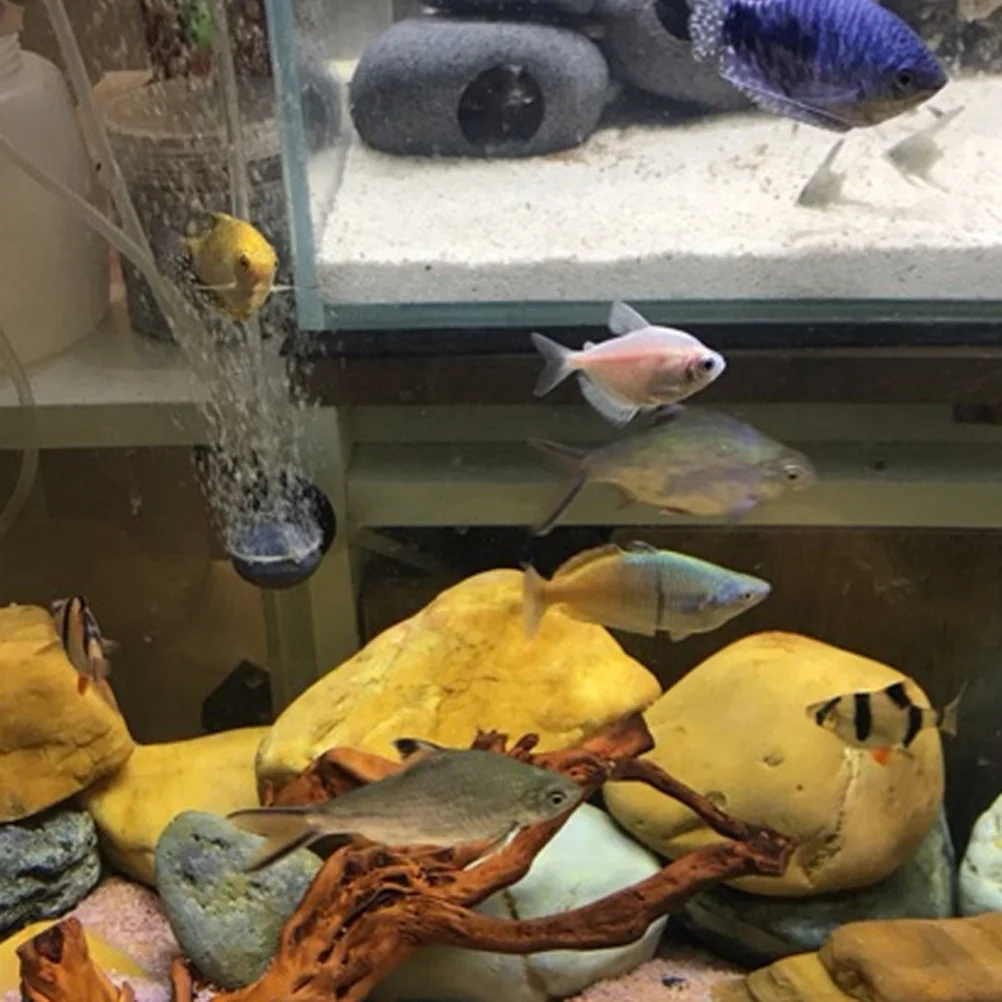 

2Pcs Air Bubble Disc Nano Airstone Oxygen Stone for Aquarium Fish Tank Silent Mute Design Suction Cup Firmly Sticks to Glass