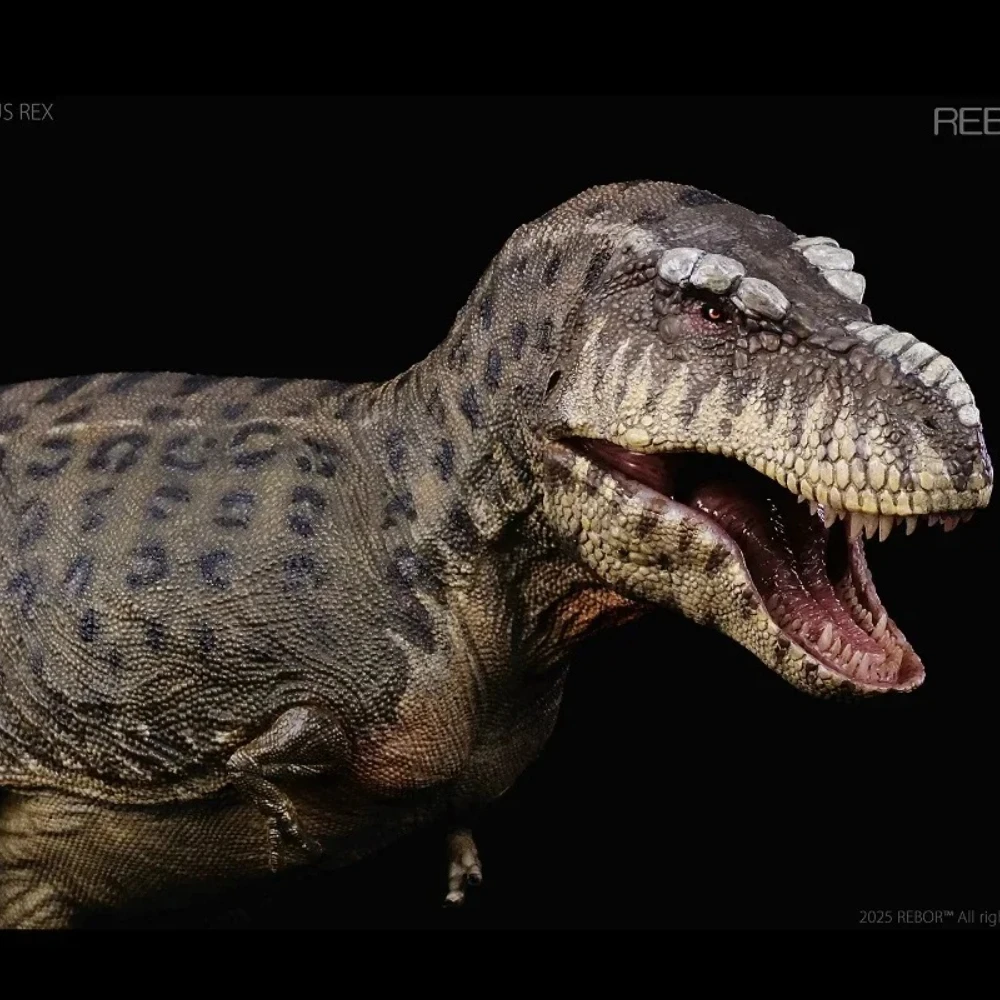 

Rebor 1/35 Tyrannosaurus Rex “KISS” Island Ver. T-Rex Dinosaur Toy Figures Animal Model Desktop Deco