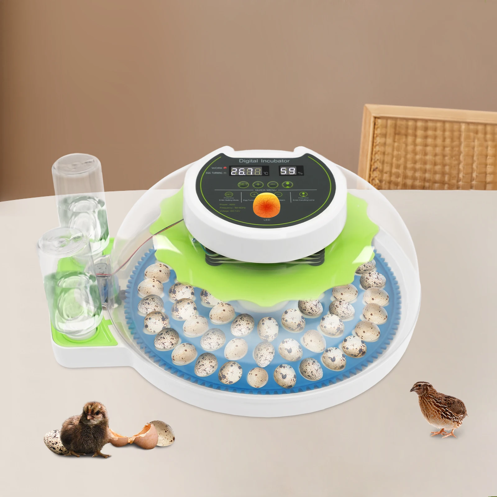 60 Egg Incubator, Bird Egg Incubator, Automatic Temperature Humidity Control, Egg Turner, LED Light, Dual Power, ABS Material, Hatching Eggs