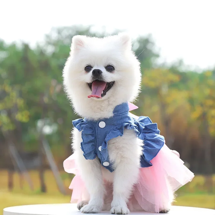 Dog Dress For Small Dogs Clothes Denim Wedding Dresses For Chihuahua Pet Princess Puppy Jeans Skirts for Pomeranian Spitz