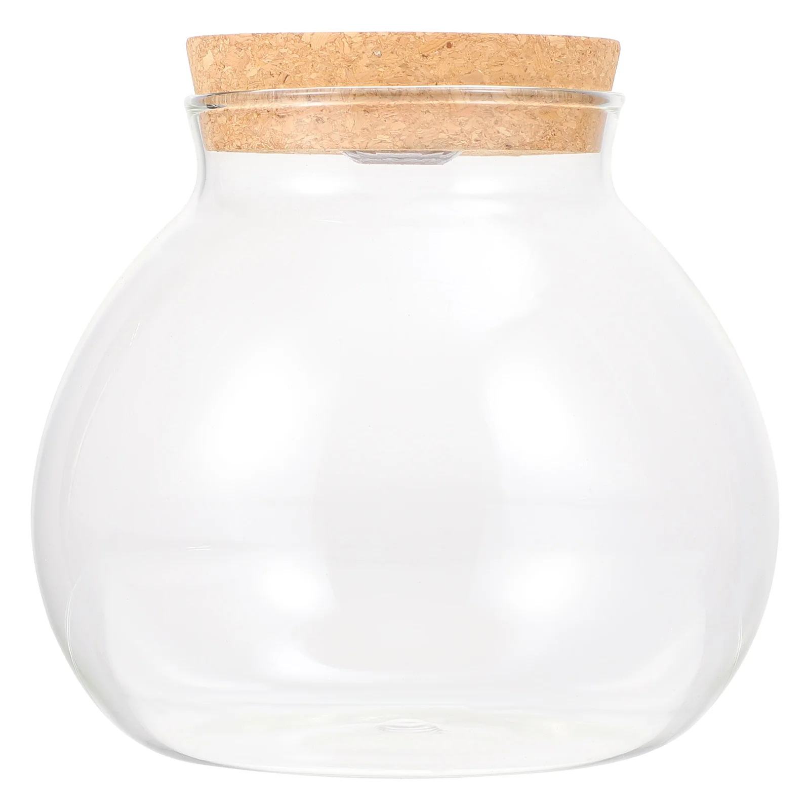 

Landscape Bottle DIY Terrarium Home Decor Plant Fish Tank High Borosilicate Glass Micro Decoration Observation