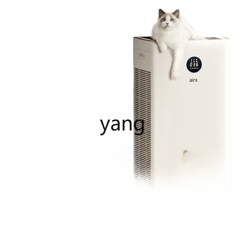 CX Air Purifier Adsorption Dogs and Cats Floating Hair Odor Aldehyde Removal Marvelous Purifier