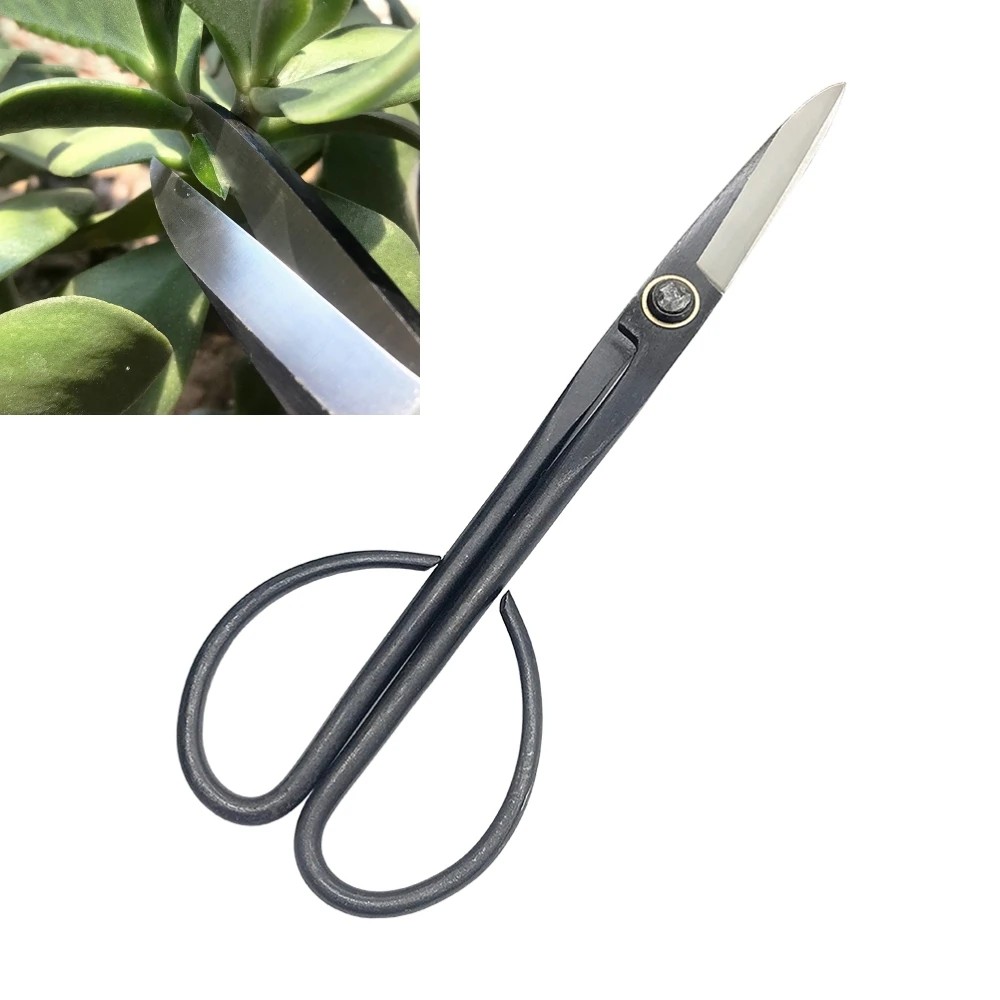 

21CM Home Gardening Beginner Bonsai Tool Long Handle Scissors Gardening Plant Branch Shears Garden Pruning Tools Bonsai Scissors