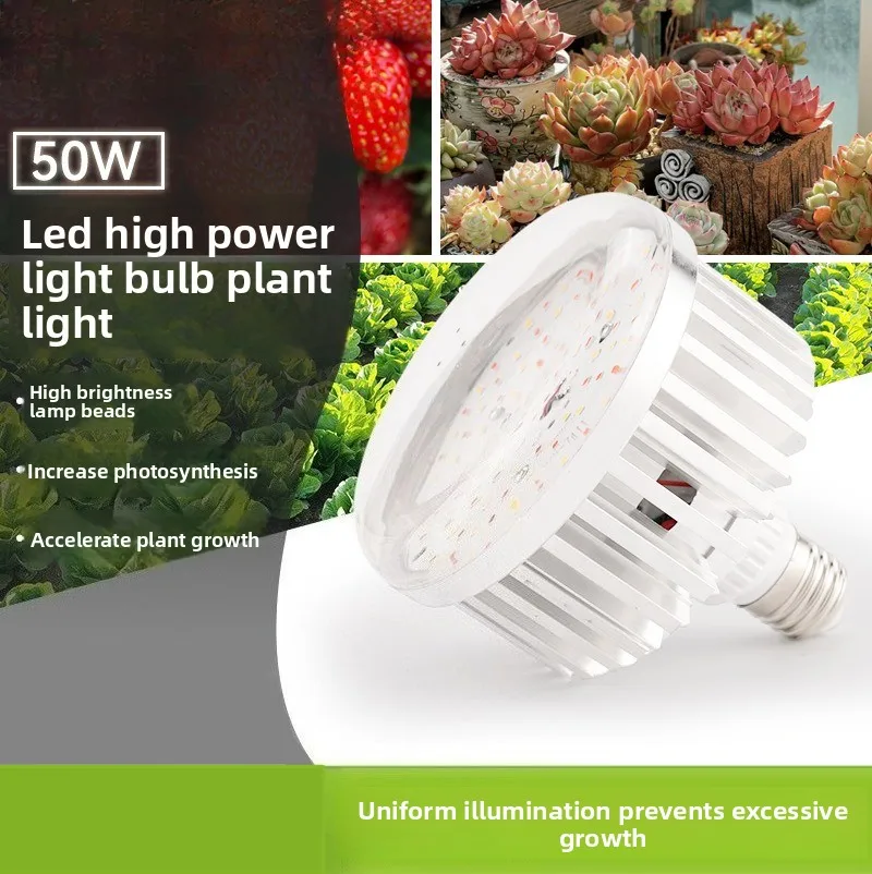 Full Spectrum Sun-like LED Grow Light 50W Dual-use Lamp for Home & Greenhouse Succulent Cultivation & Coloring