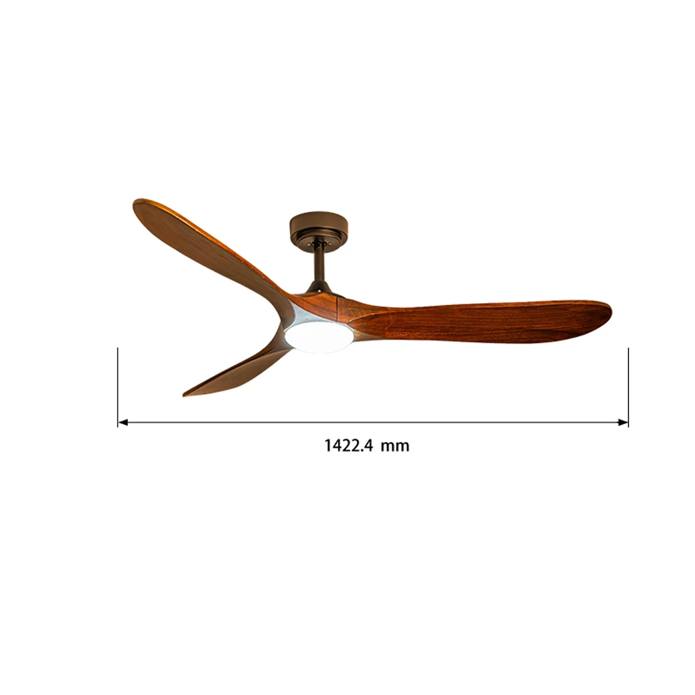 Direct Sale 56-Inch Modern Mute ABS Ceiling Fan Light Frequency Conversion Remote Control Electric Power Source US Metal Box